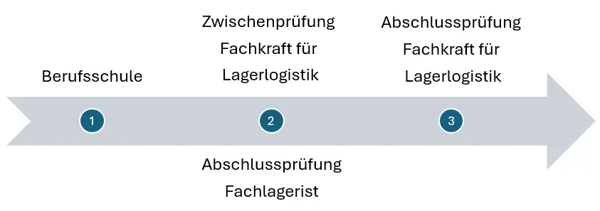 Infografik nach Lehrjahr: Ausbildungsübersicht Fachlagerist (m/w/d) ODER / & Fachkraft für Lagerlogistik (m/w/d)