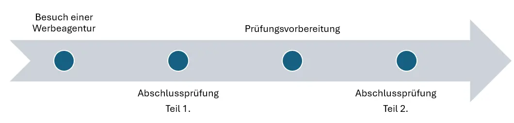 Infografik nach Lehrjahr: Ausbildungsübersicht Kaufmann für Marketingkommunikation (m/w/d)