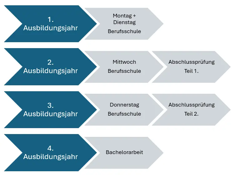 Infografik nach Lehrjahr: Ausbildungsübersicht Industriekaufmann (m/w/d) Zusatzqualifikation EU-Industriekaufmann & duales Studium