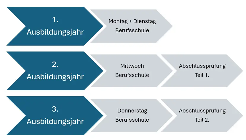 Infografik nach Lehrjahr: Ausbildungsübersicht Industriekaufmann (m/w/d)